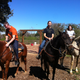 Illustration for article titled Horse: The Jalopnik Review